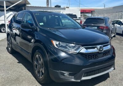 463475893_122157243002267227_1460744015398712321_n